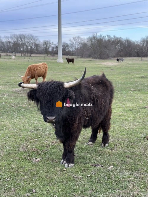 Imagem de Prédio em Carlos Sander bairro Recreio