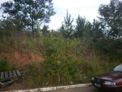 Imagem de Terreno em Pedro José Müller bairro Nossa Senhora De Fátima