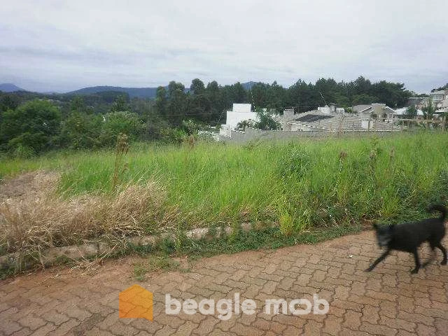 Imagem de Terreno em Olinda Muller bairro Nossa Senhora De Fátima