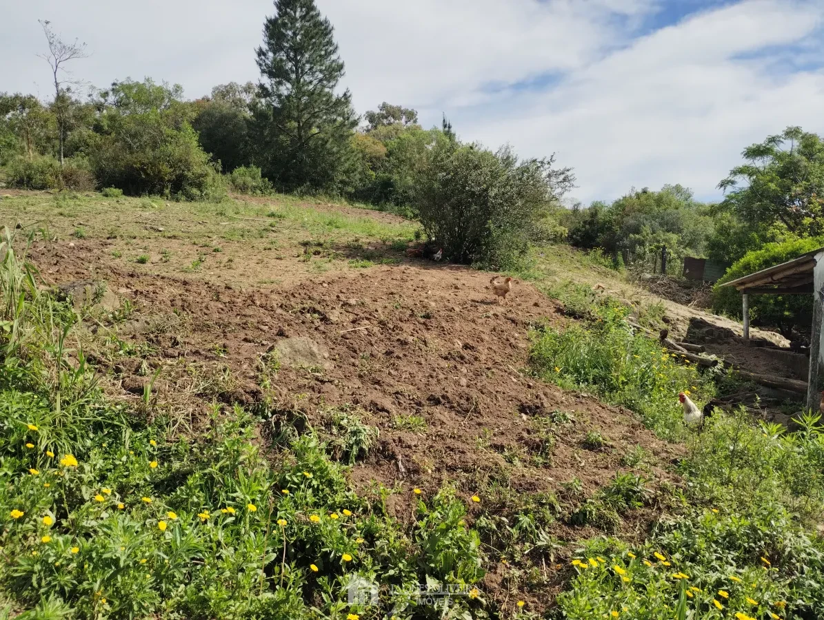 Imagem de Terreno bairro Vila Nova