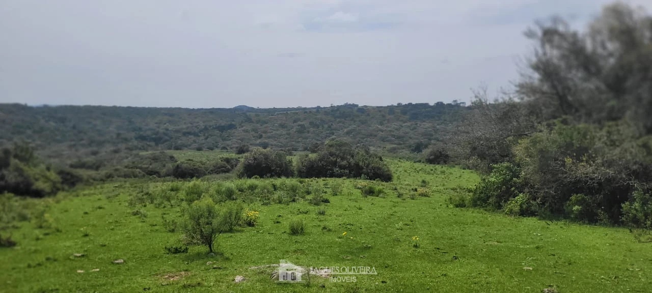 Imagem de Área para plantar e criar