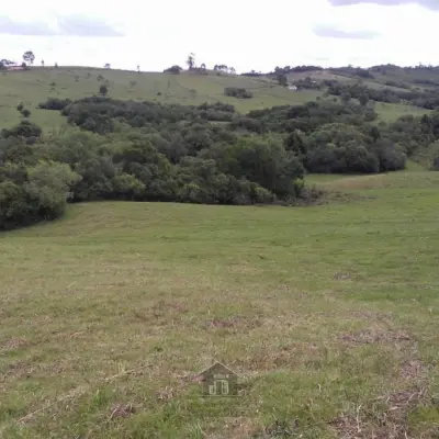 Imagem de 16 ha terceiro distrito.