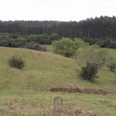 Imagem de 16 ha terceiro distrito.