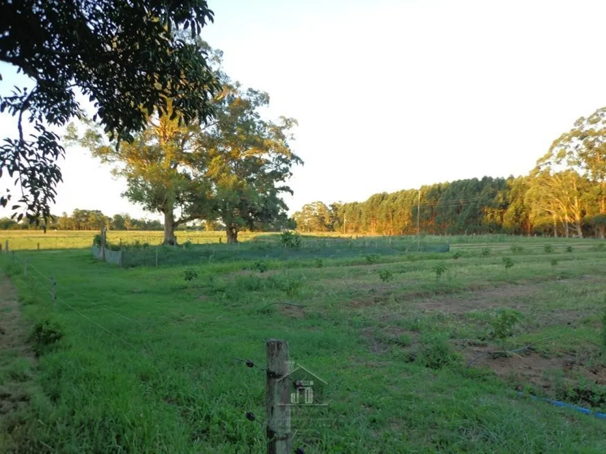 Imagem de Área Rural Povo Novo Rio Grande.