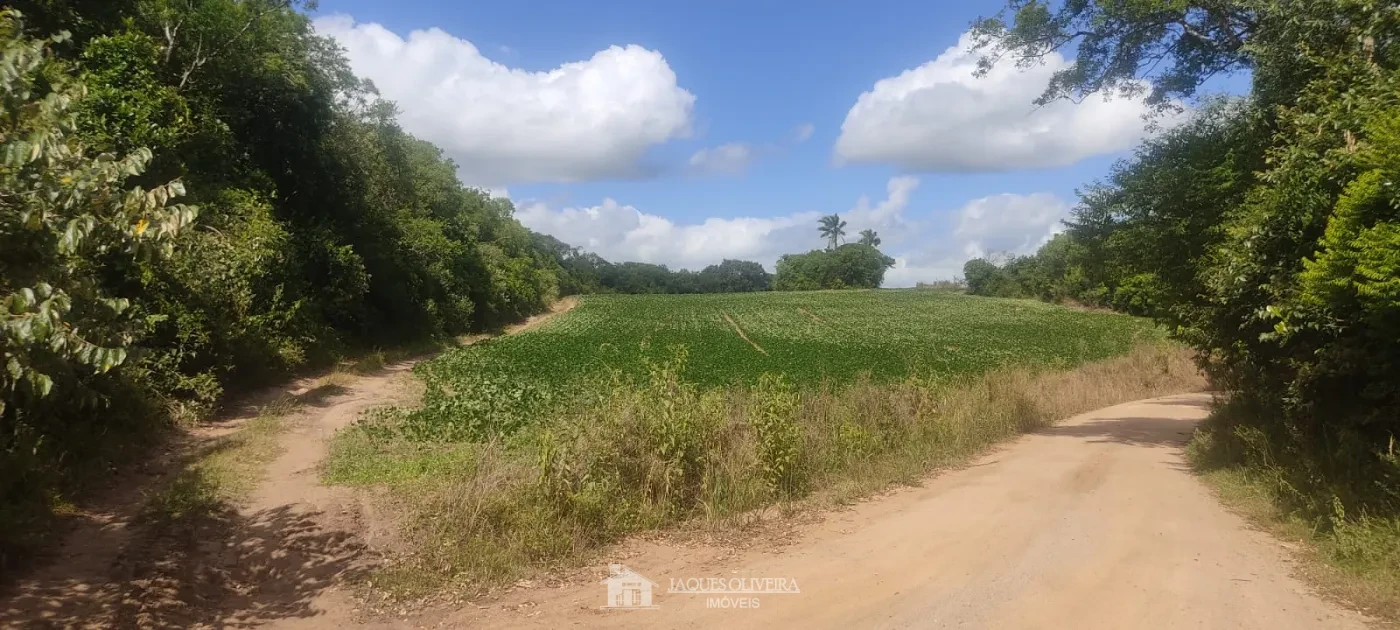 Imagem de Área de Plantação