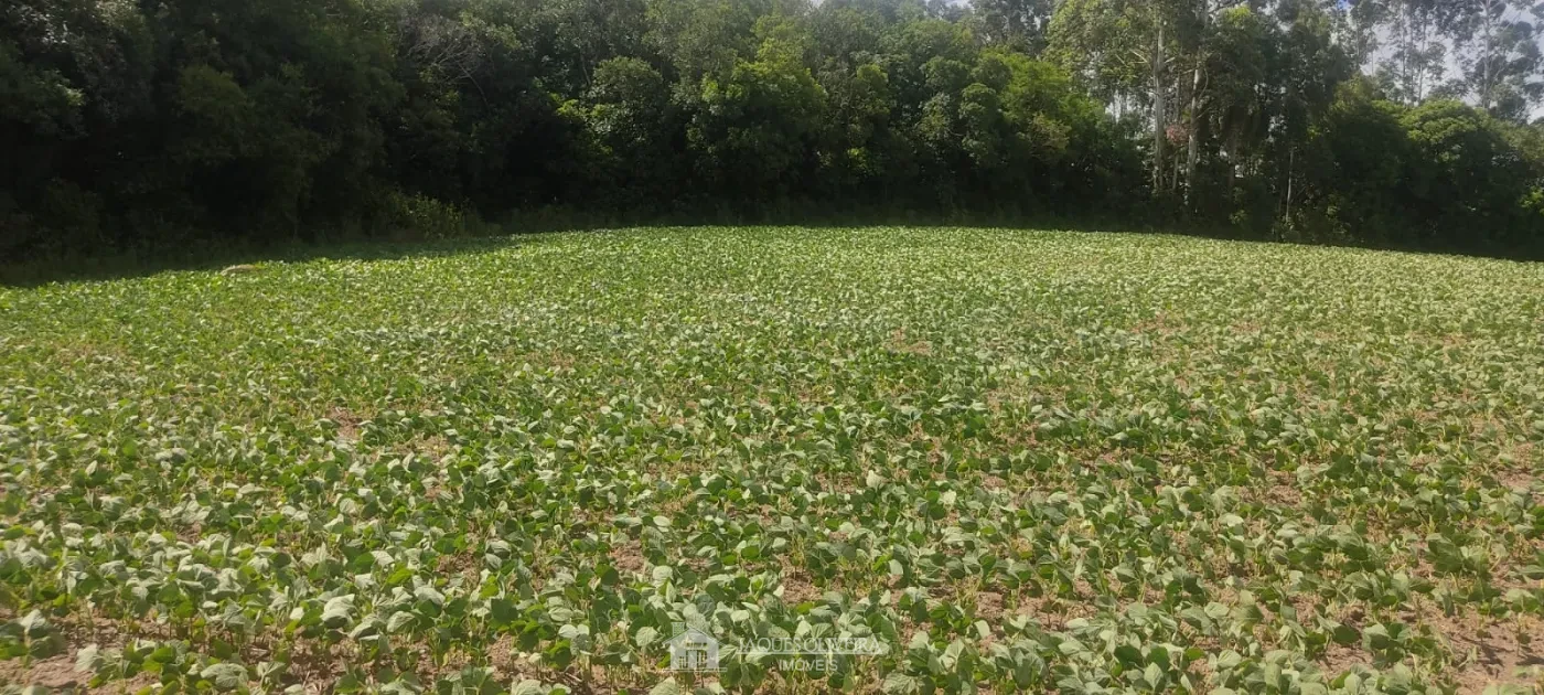 Imagem de Área de Plantação