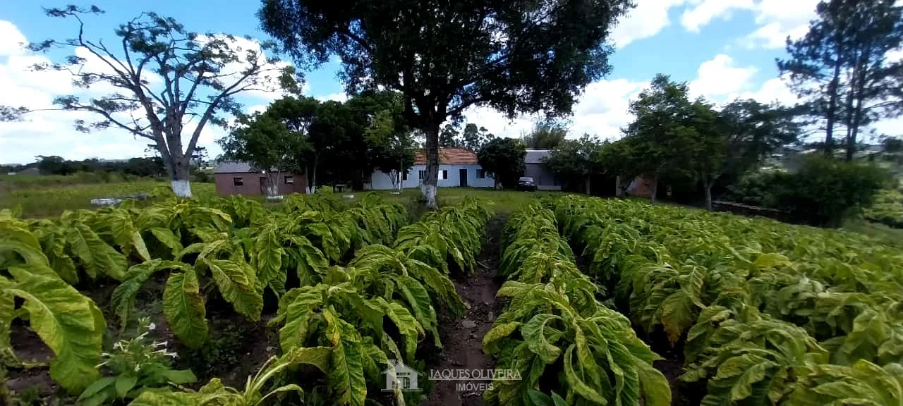 Imagem de Chácara Produtiva