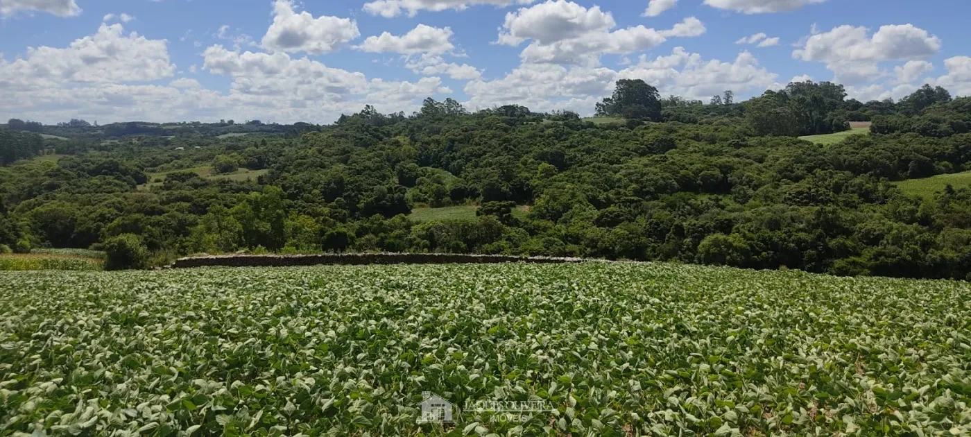 Imagem de Chácara Produtiva