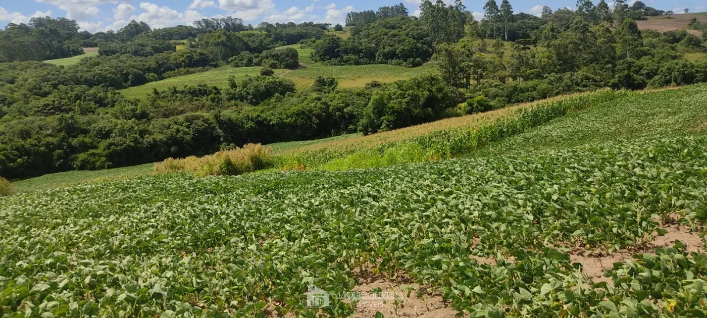 Imagem de Chácara Produtiva