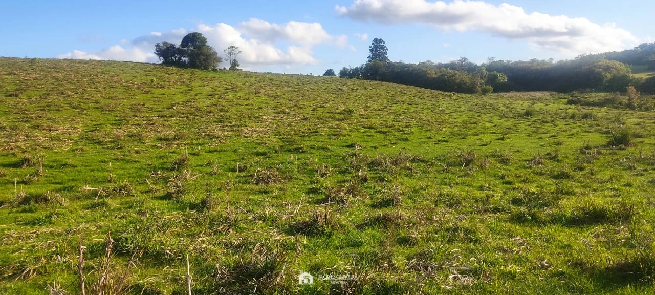 Imagem de Campo para agropecuária perto da cidade