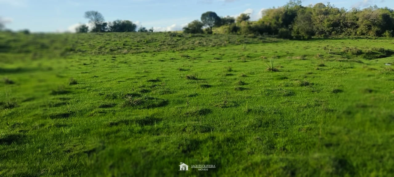 Imagem de Campo para agropecuária perto da cidade