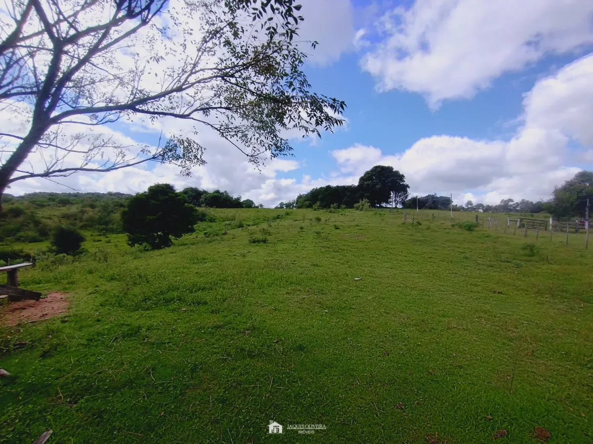 Imagem de 42ha com casa terceiro distrito.