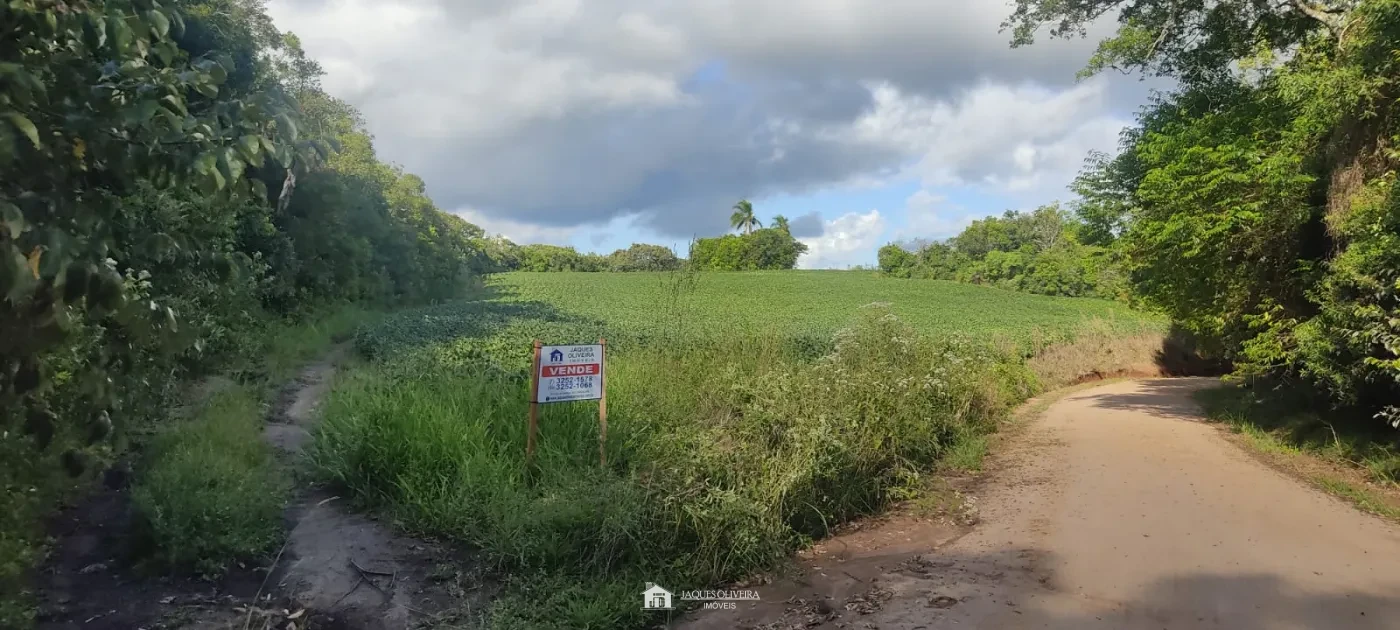 Imagem de Área de Plantação