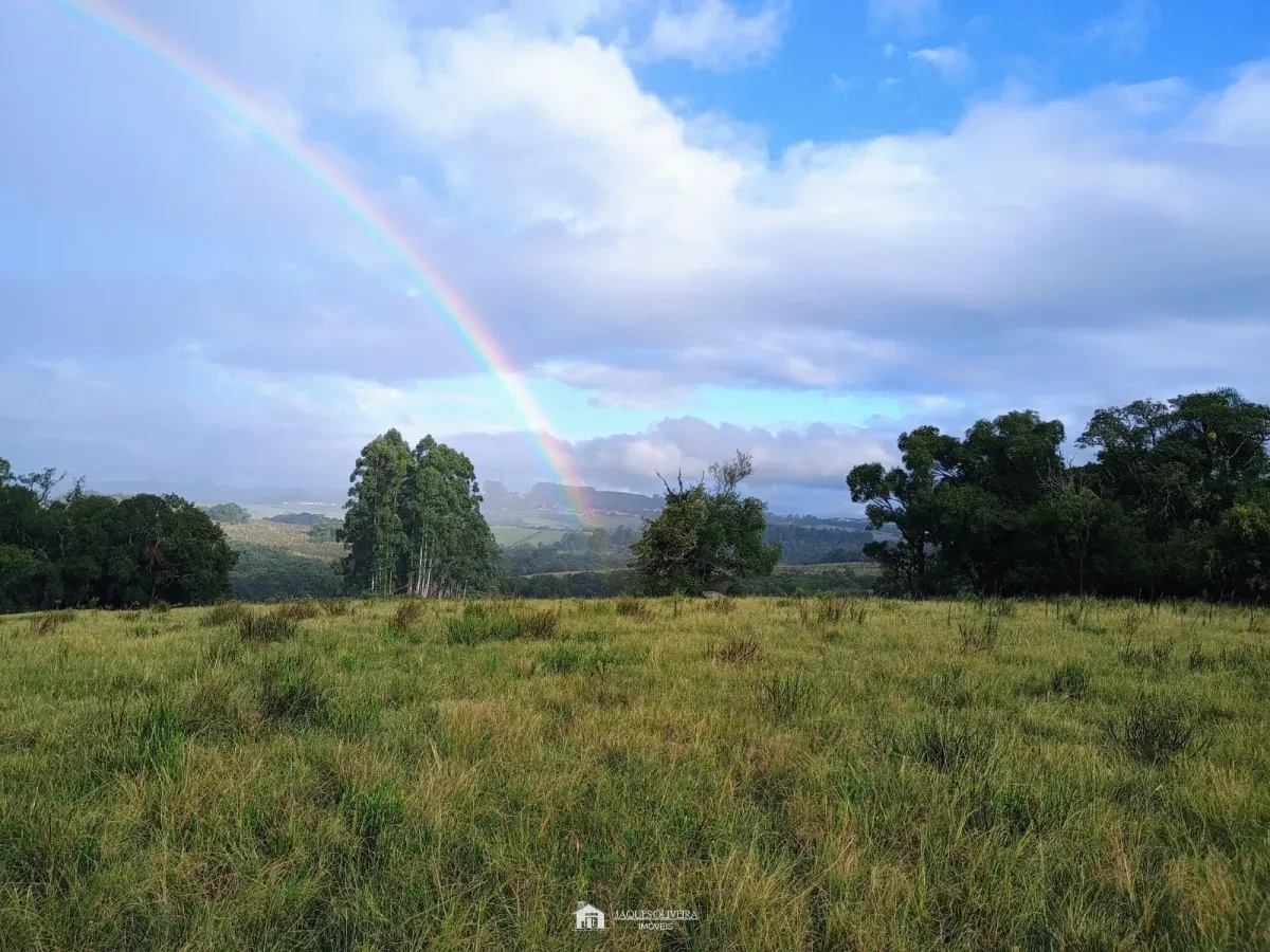 Imagem de Tapete de Campo