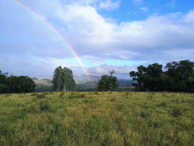 Imagem de Tapete de Campo