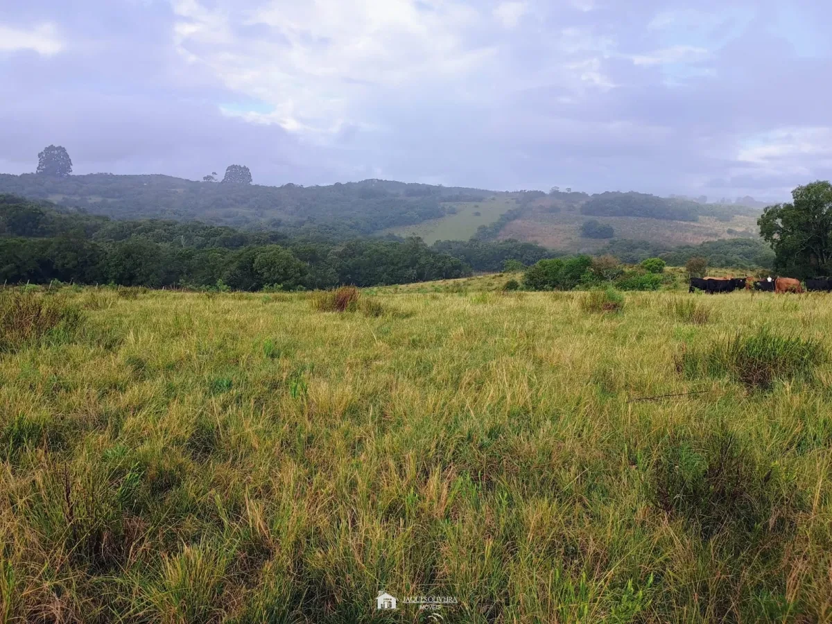 Imagem de Tapete de Campo