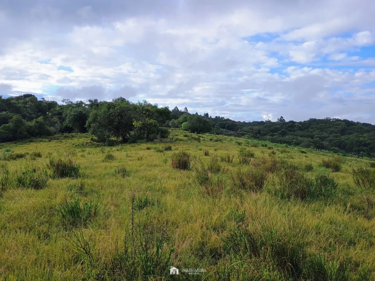 Imagem de Tapete de Campo