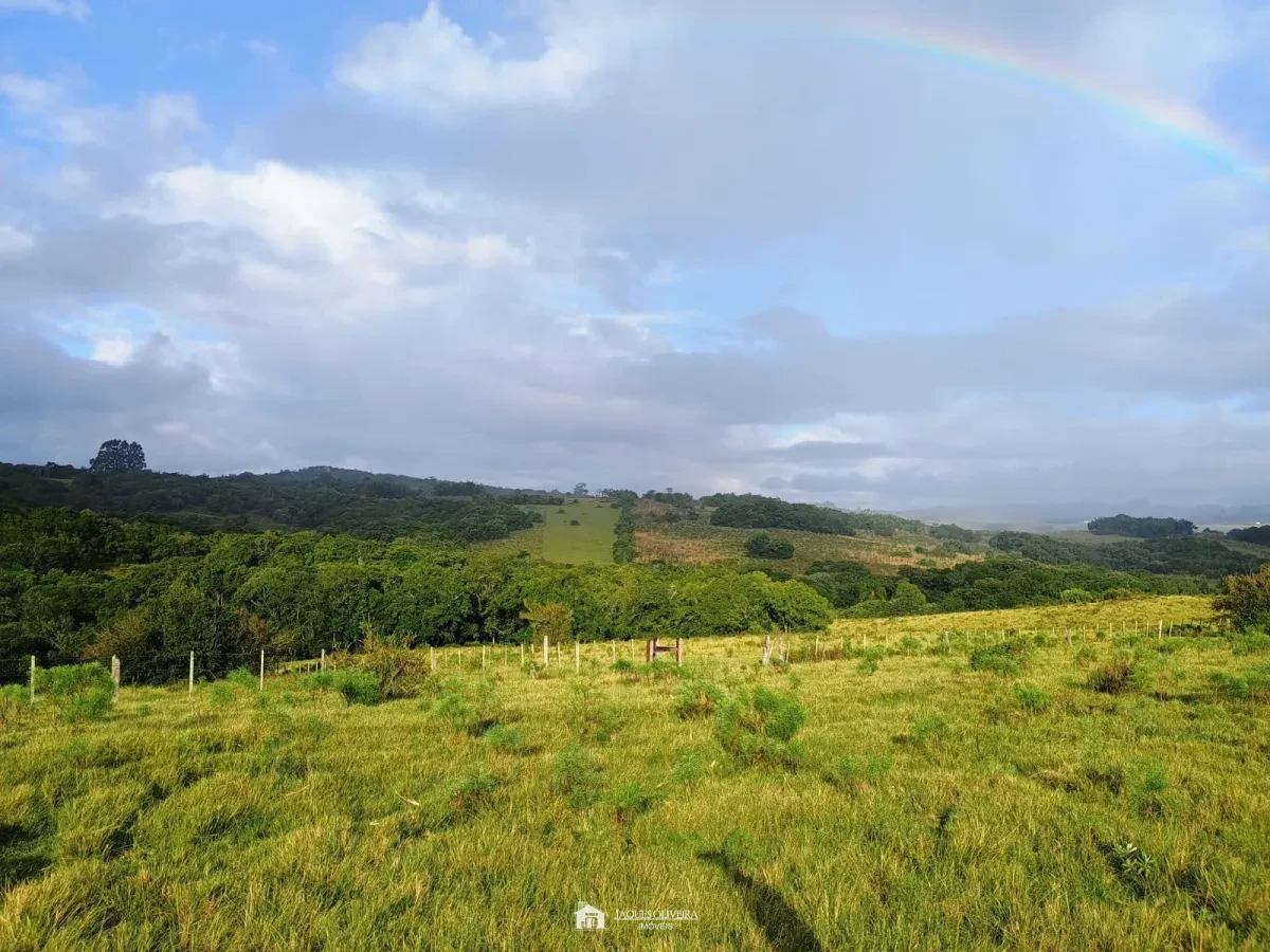 Imagem de Tapete de Campo
