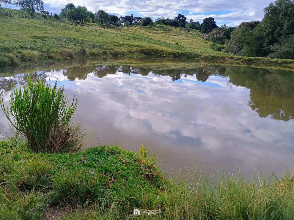 Imagem de Tapete de Campo