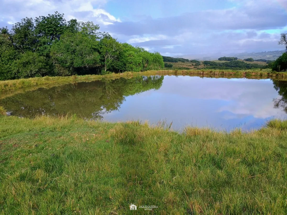 Imagem de Tapete de Campo