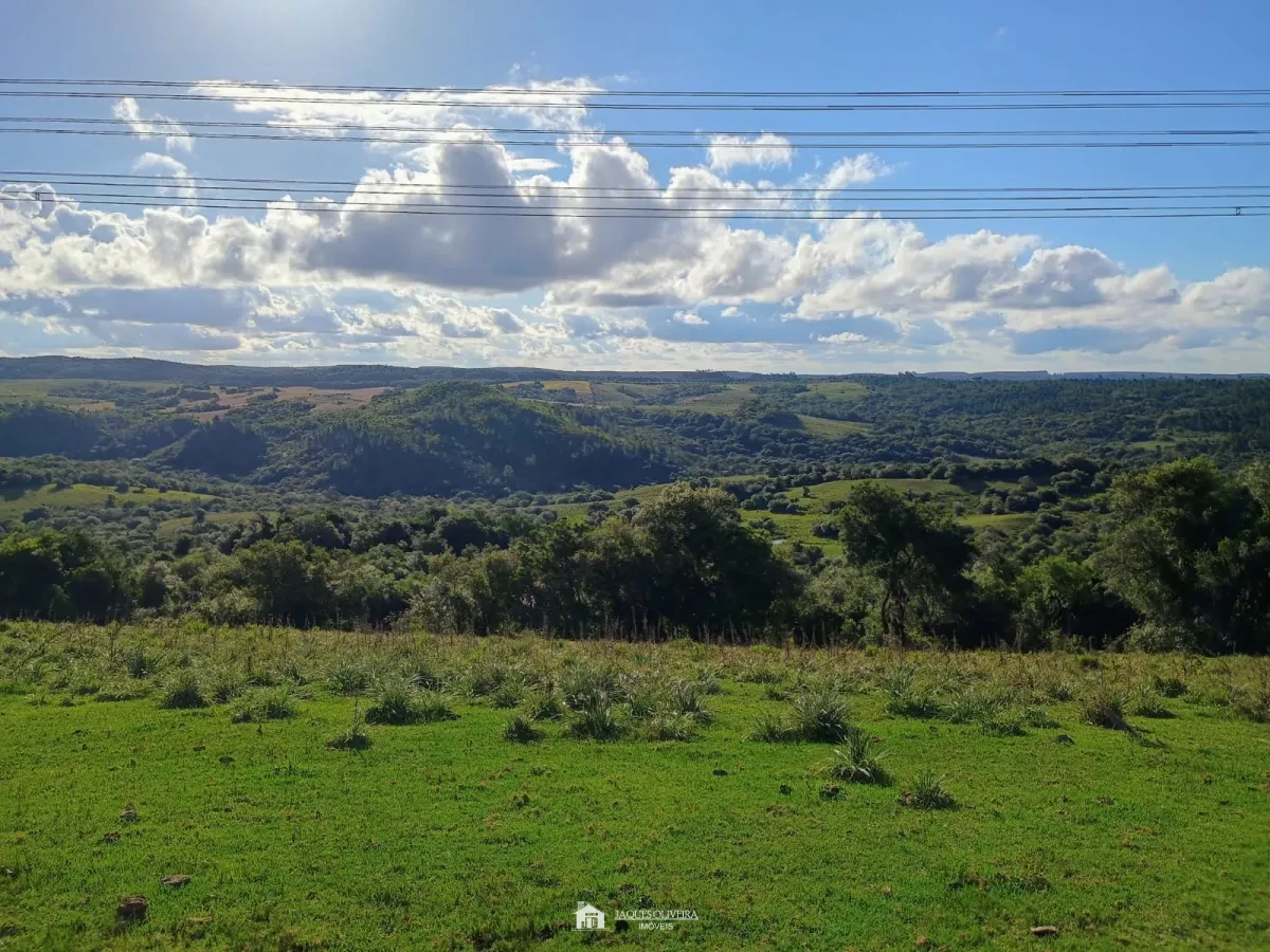 Imagem de Excelente Campo para Pecuária