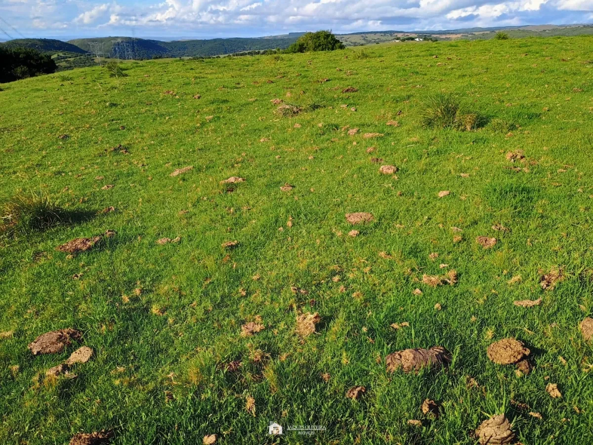 Imagem de Excelente Campo para Pecuária