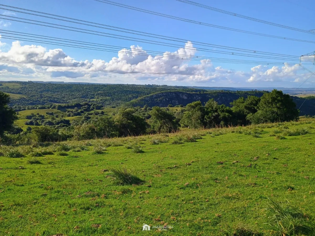 Imagem de Excelente Campo para Pecuária
