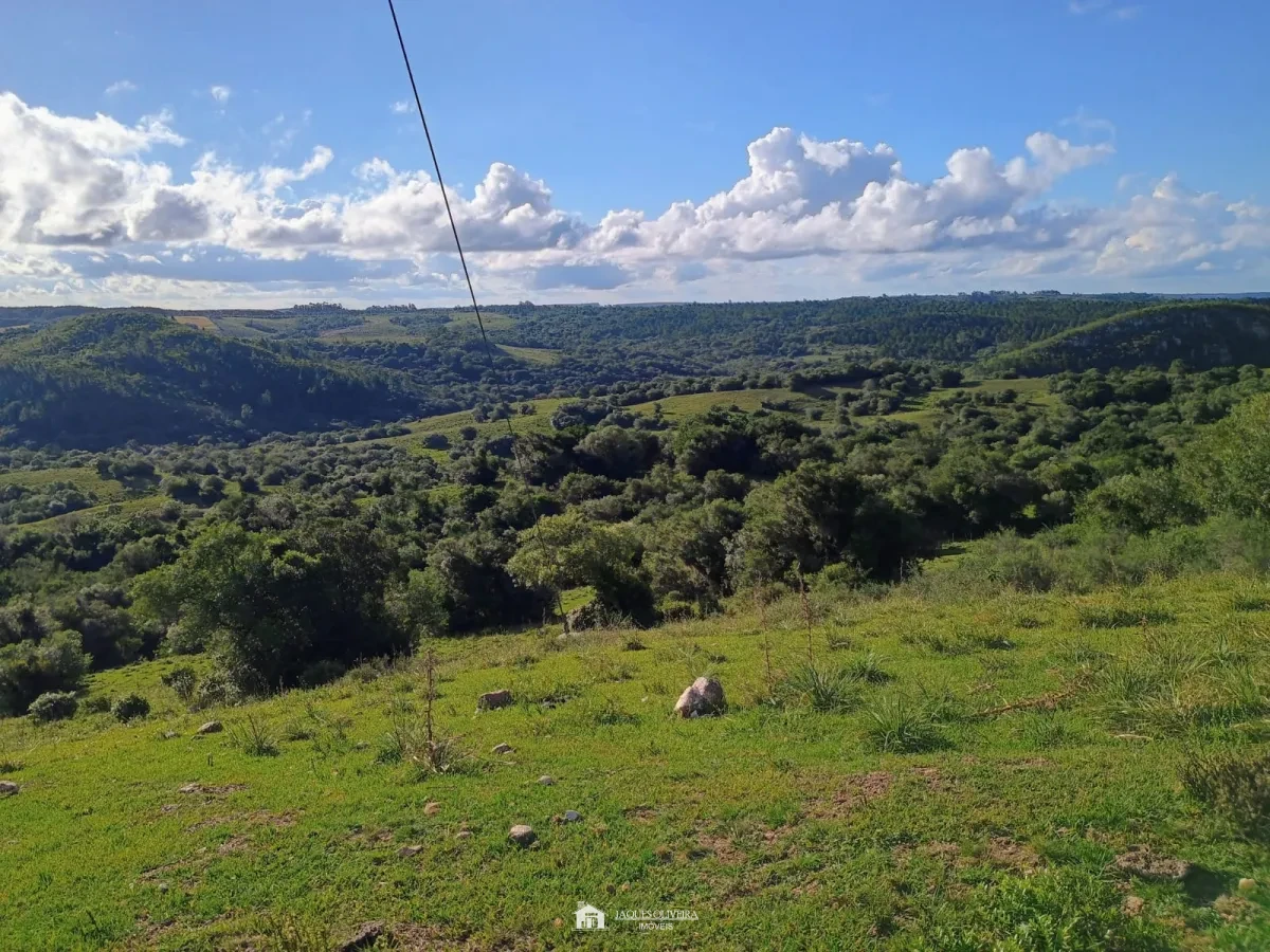 Imagem de Excelente Campo para Pecuária