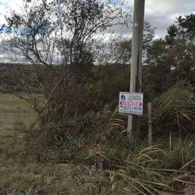 Imagem de 5ha sem benfeitorias no Ares Alegre 1º distrito.