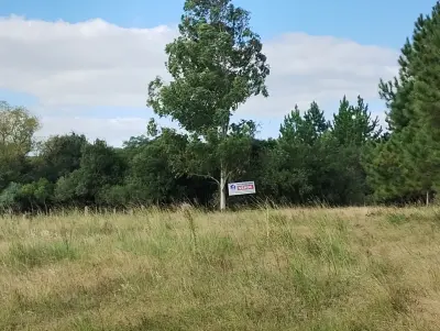Imagem de Chácara 2ha própria para lazer
