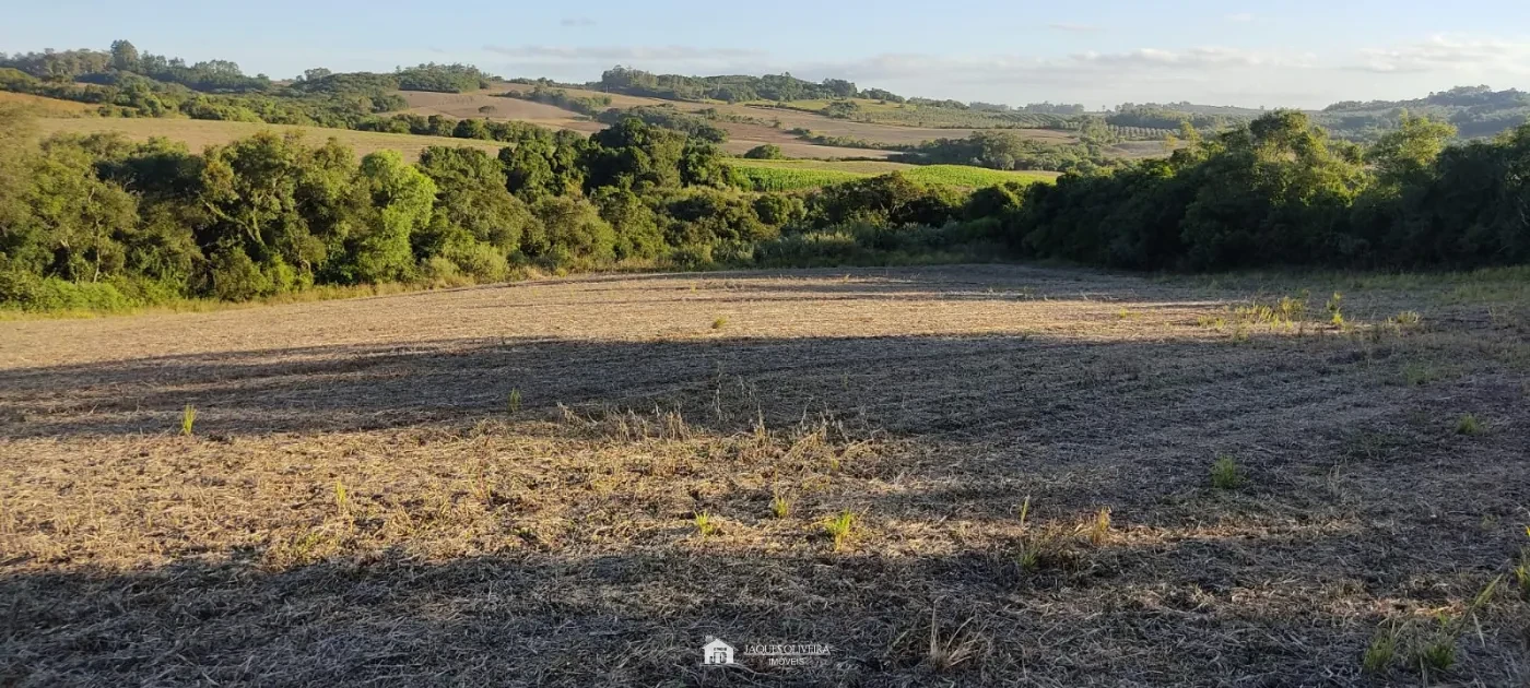 Imagem de Área Rural para Soja e Milho