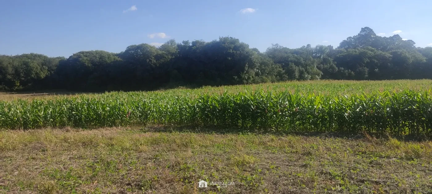 Imagem de Área Rural para Soja e Milho