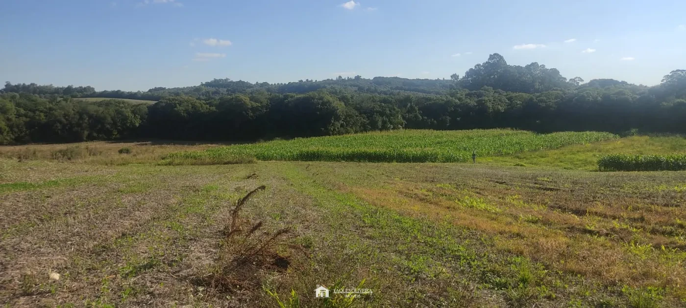 Imagem de Área Rural para Soja e Milho