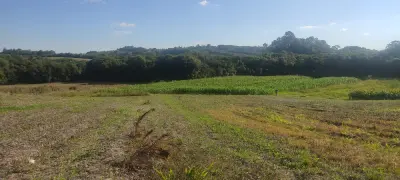 Imagem de Área Rural para Soja e Milho