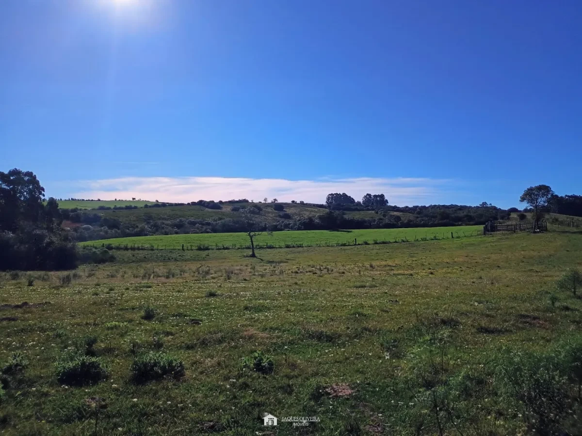 Imagem de Campo de Primeira
