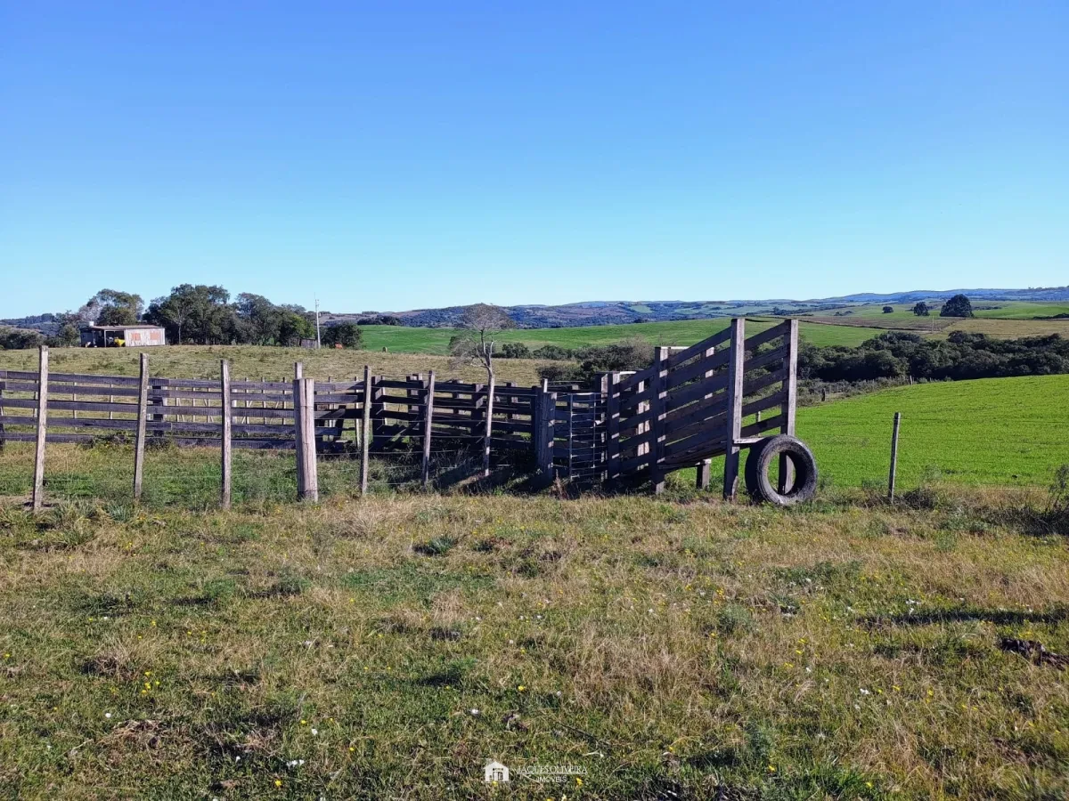Imagem de Campo de Primeira