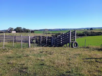 Imagem de Campo de Primeira