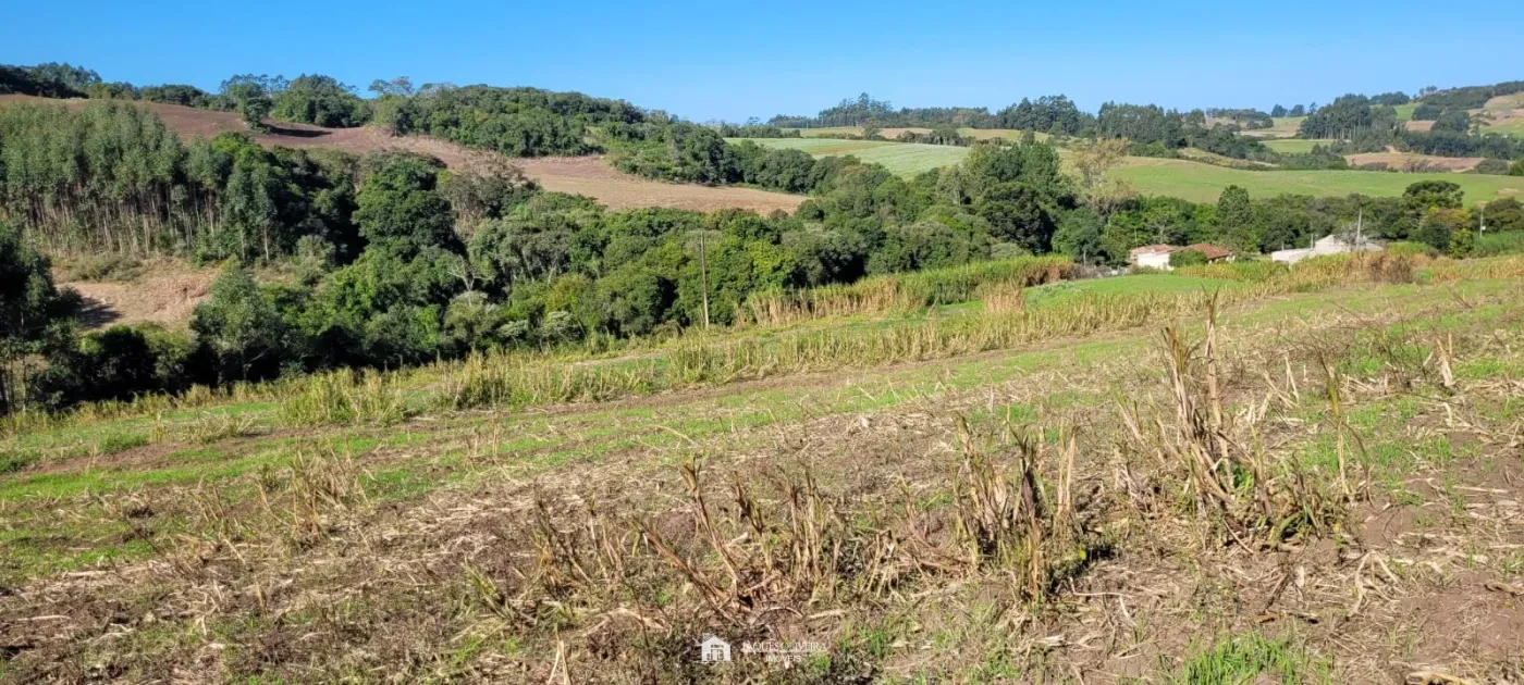 Imagem de Área Rural a 5km da Cidade