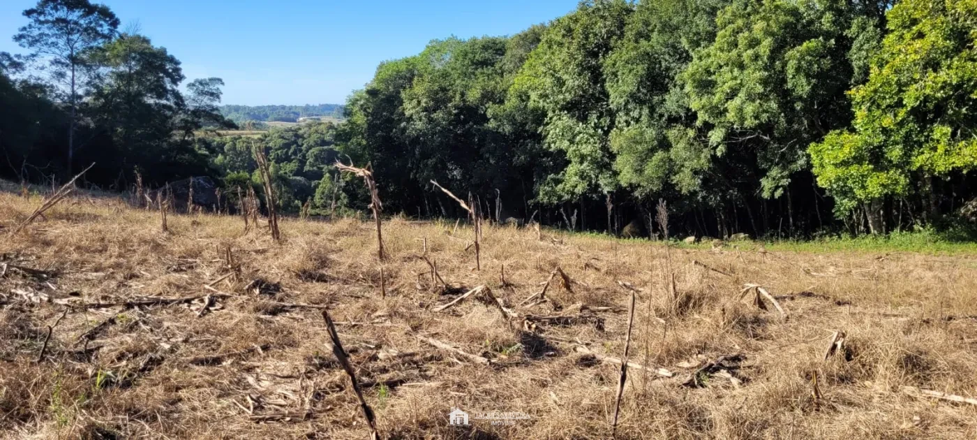 Imagem de Área Rural a 5km da Cidade