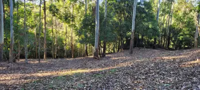 Imagem de Área Rural a 5km da Cidade