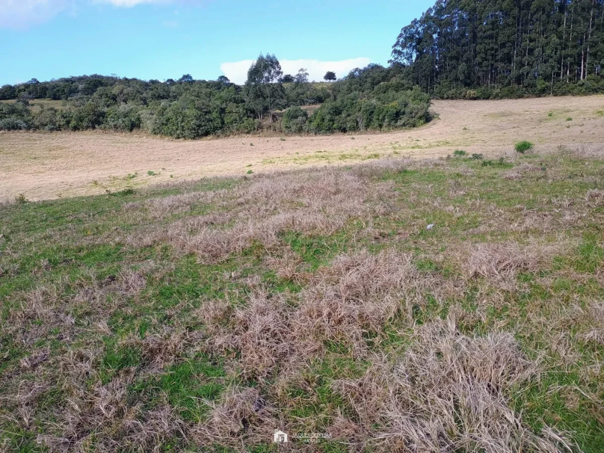 Imagem de Campo à 8 km da cidade