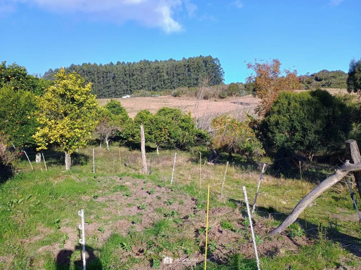 Imagem de Campo à 8 km da cidade