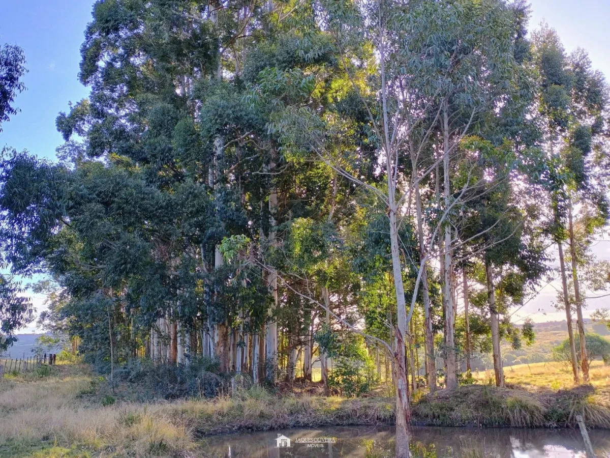 Imagem de Campo à 8 km da cidade
