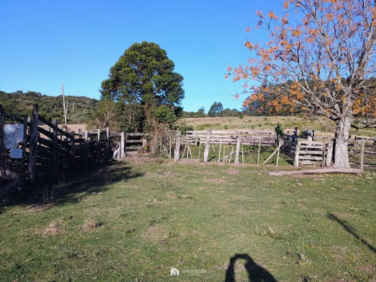 Imagem de Campo à 8 km da cidade