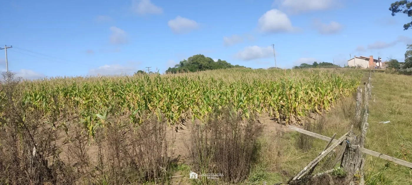 Imagem de Área Rural