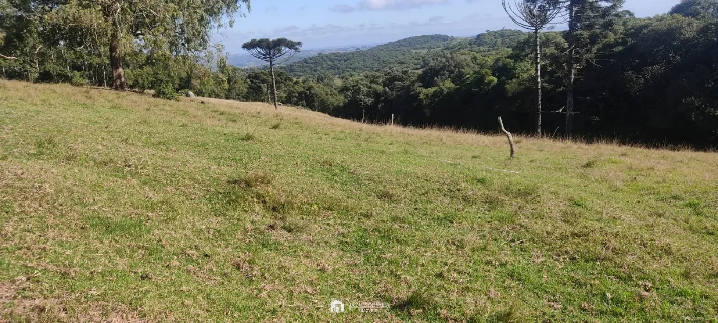 Imagem de Área Rural