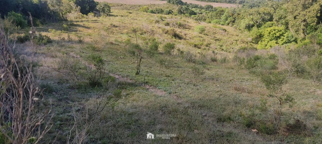 Imagem de Campo para agropecuária e reflorestamento