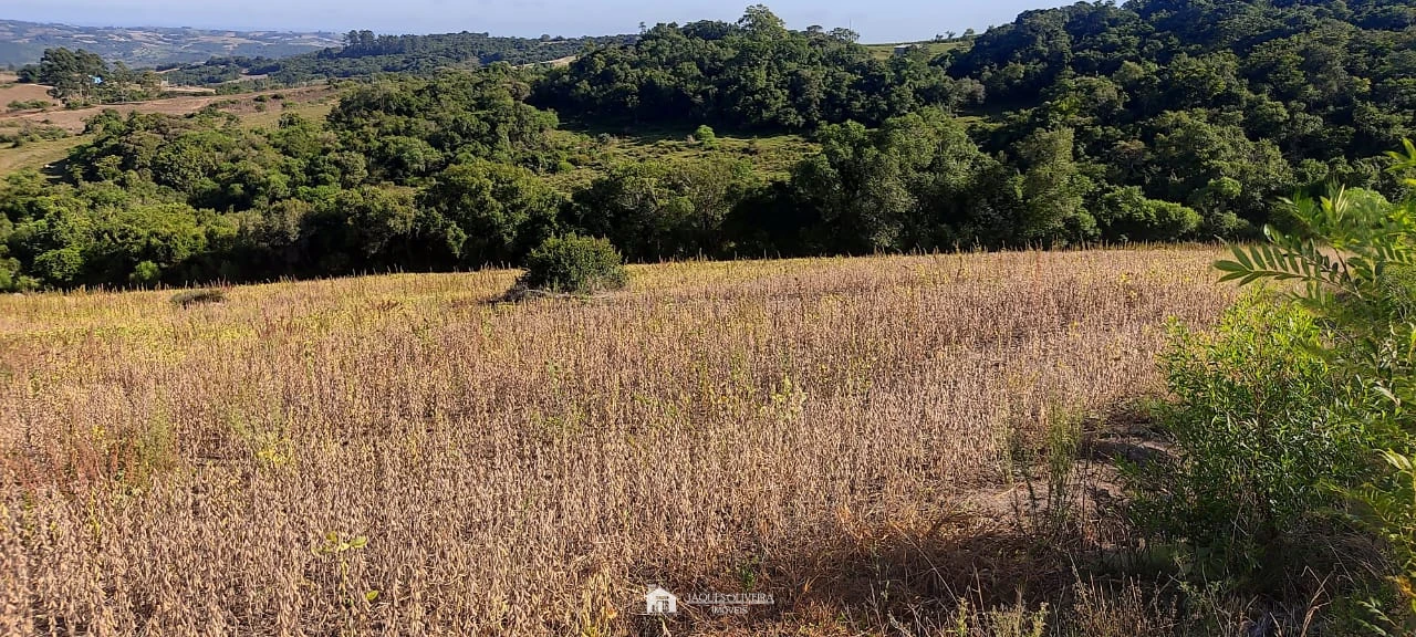 Imagem de Campo para agropecuária e reflorestamento