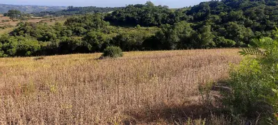 Imagem de Campo para agropecuária e reflorestamento