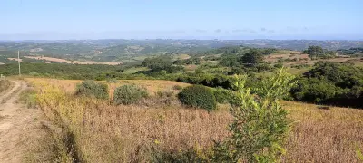 Imagem de Campo para agropecuária e reflorestamento